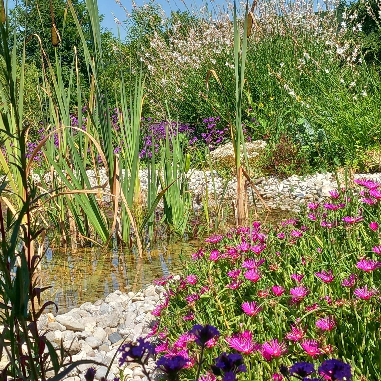 Gîte Eco-lieu la Ferme de Belle Combe