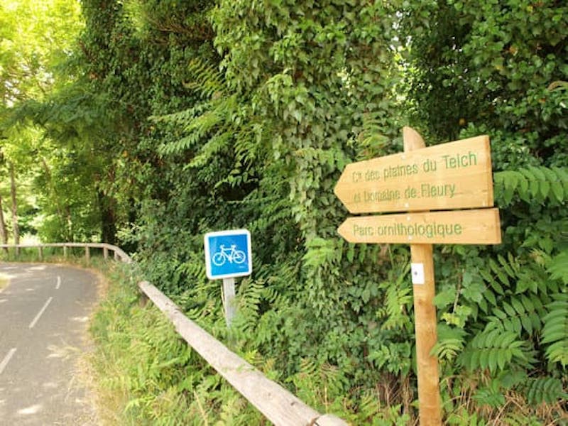 piste-cyclable-1-2c06f1601cdf4ee58c92f1dbe2895f17