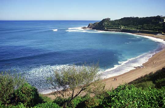 Spot de Lafitenia