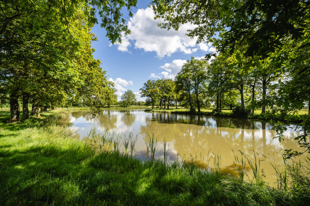 Aire de pique nique - Lathus-Saint-Rémy