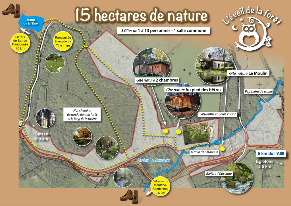 L'Eveil de la Forêt - gîte Nature