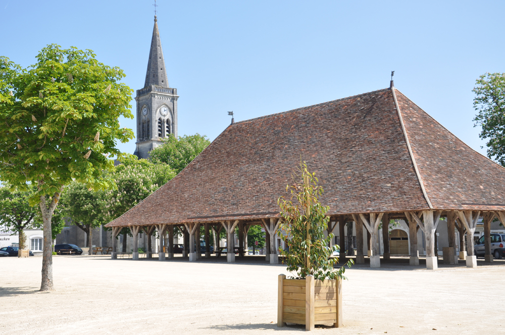 Halle de Pleumartin
