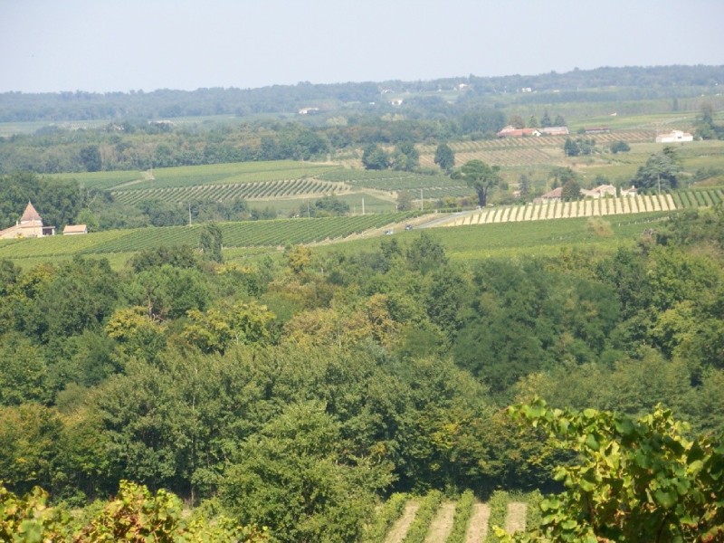 Affiche ou photo : Château Haut Domingue