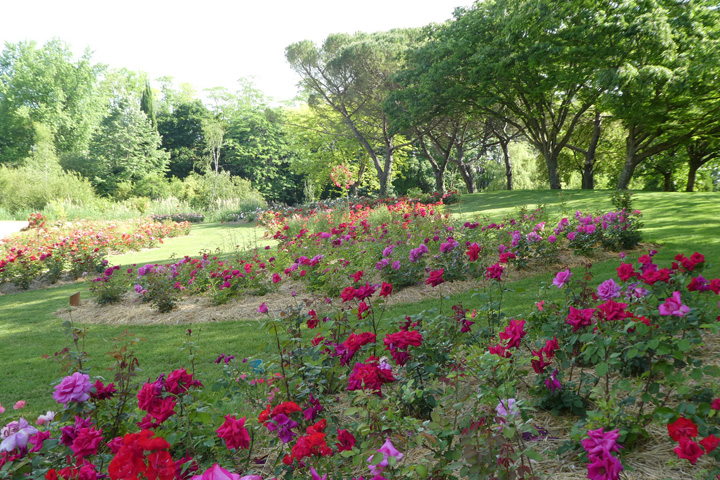 Parc Floral de La Roseraie