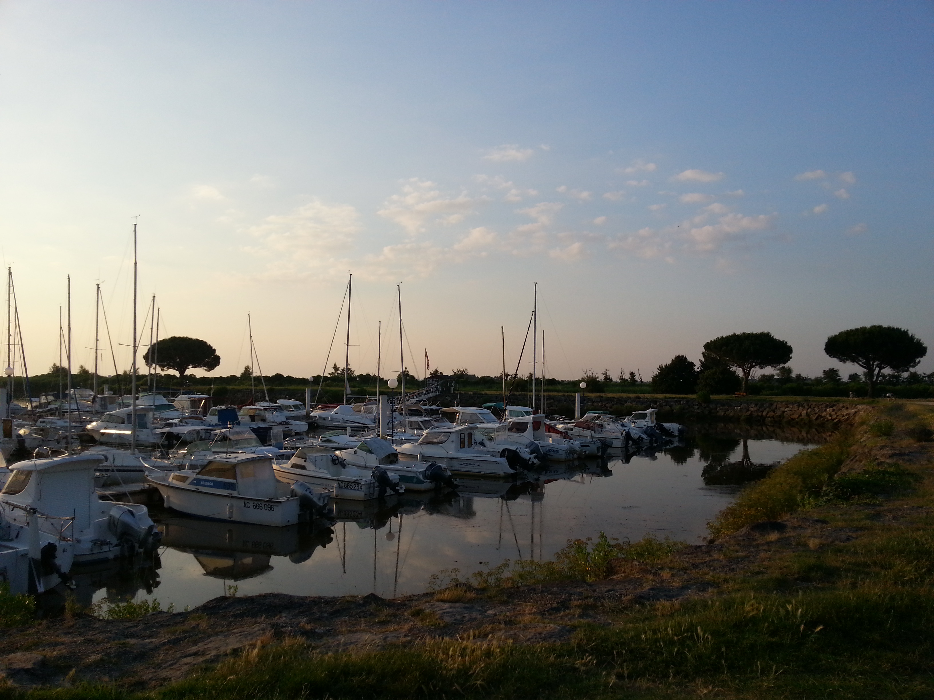 port du teich - OT (15)