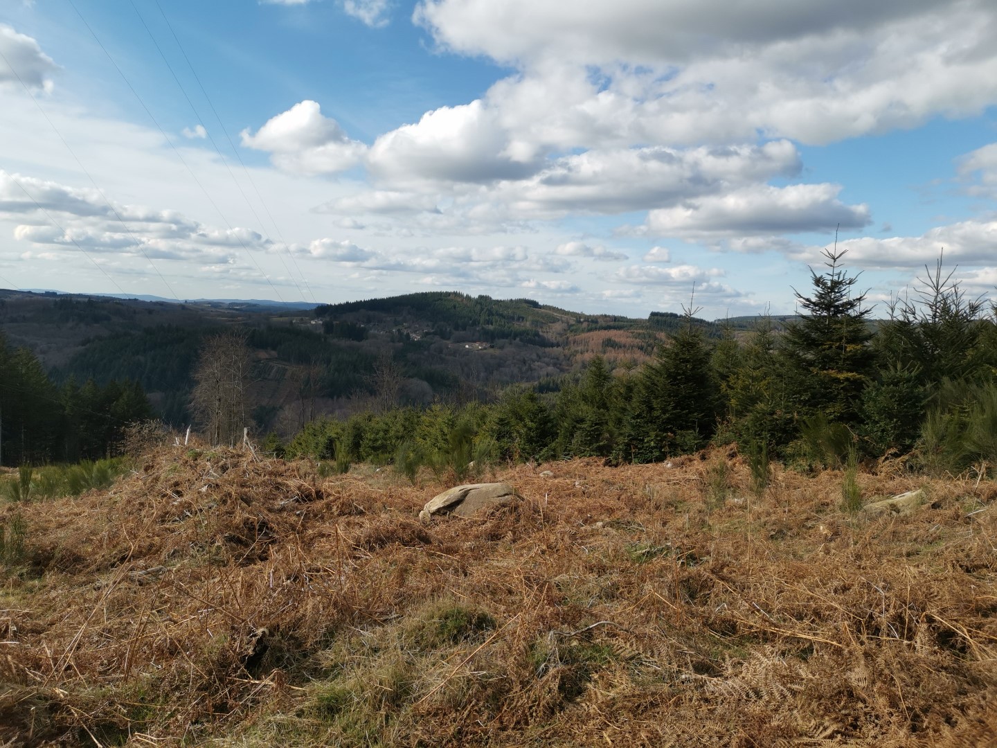 Circuit Pédestre N°57 : "Le Puy de Pétru"