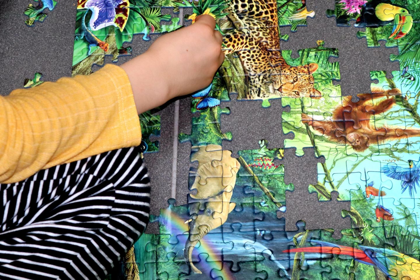 Grand concours de puzzle