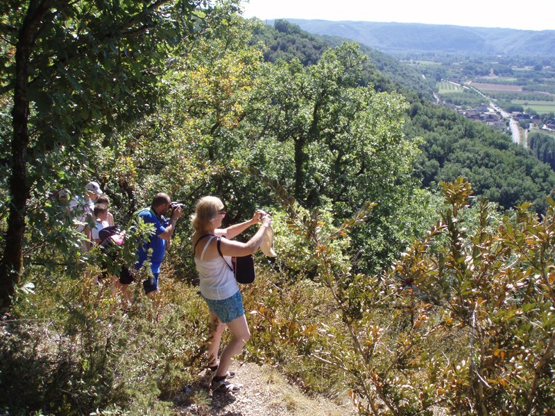 Camping au P'Tit Bonheur