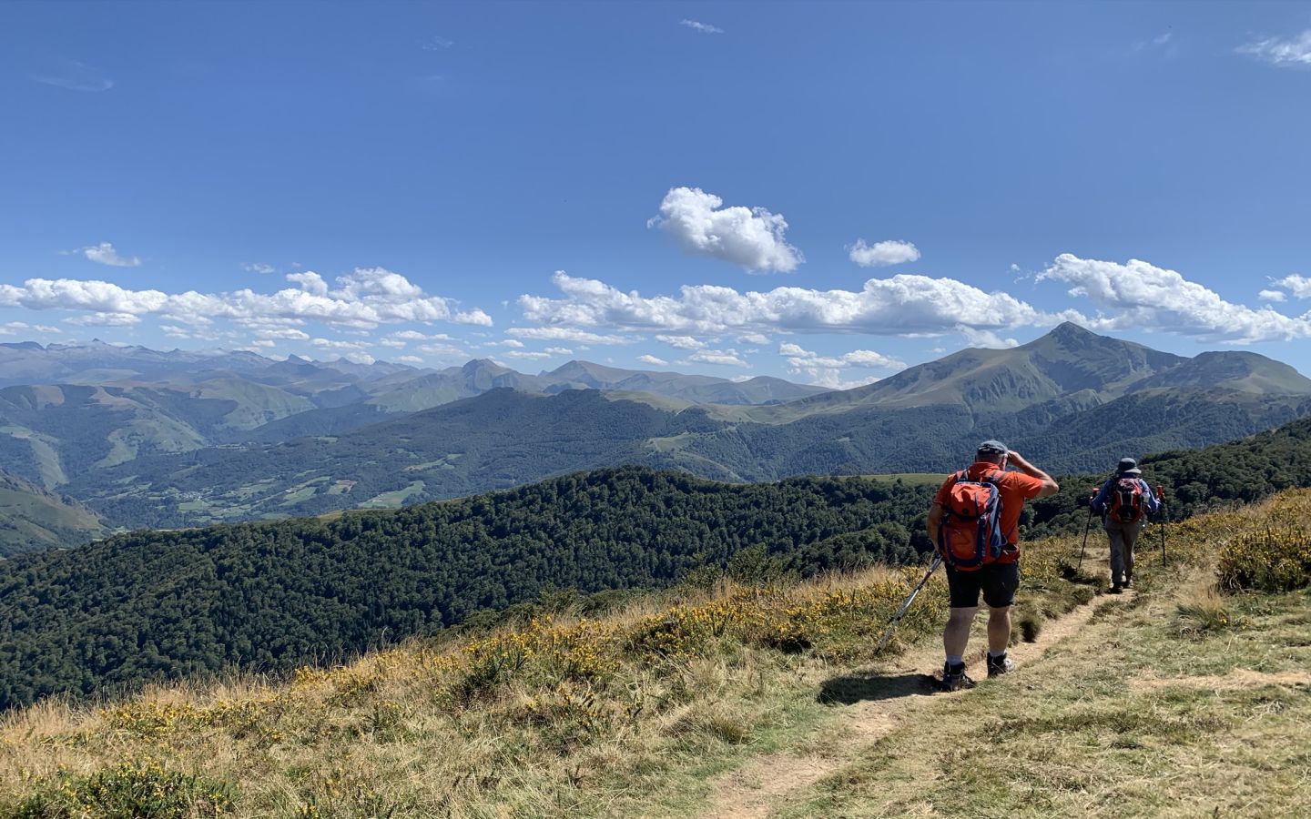 ZEHARKA - Bixente OYHENART, Accompagnateur en montagne, Ostabat-Asme - photo 20