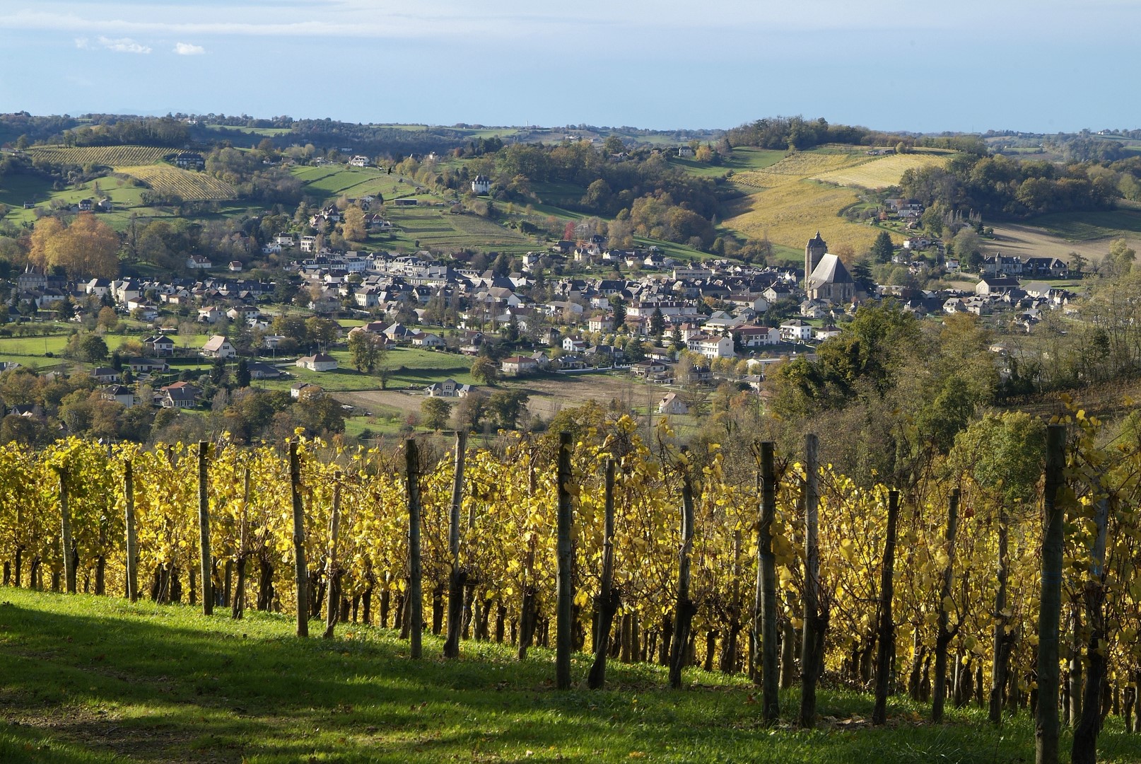 Vignobles de Cuqueron