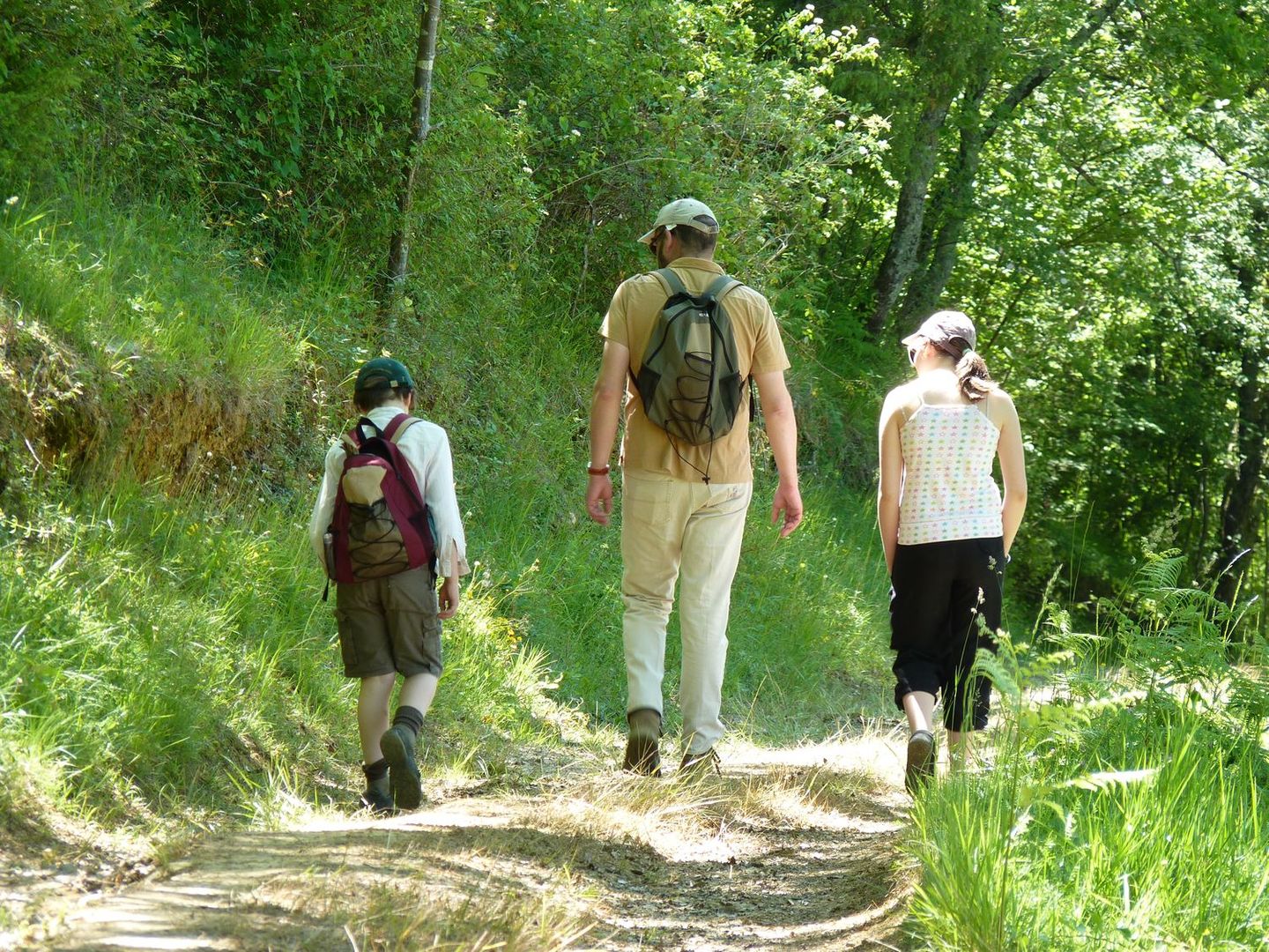 Festival Forêt d'Ici