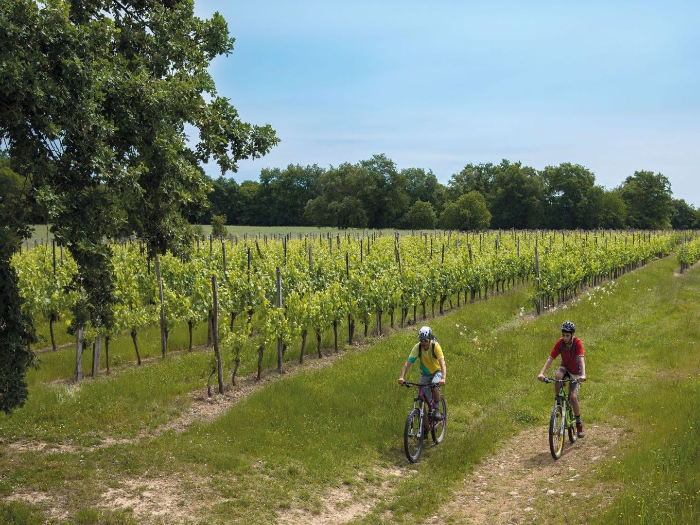 Moncaup : au cœur du Madiranais à VTT