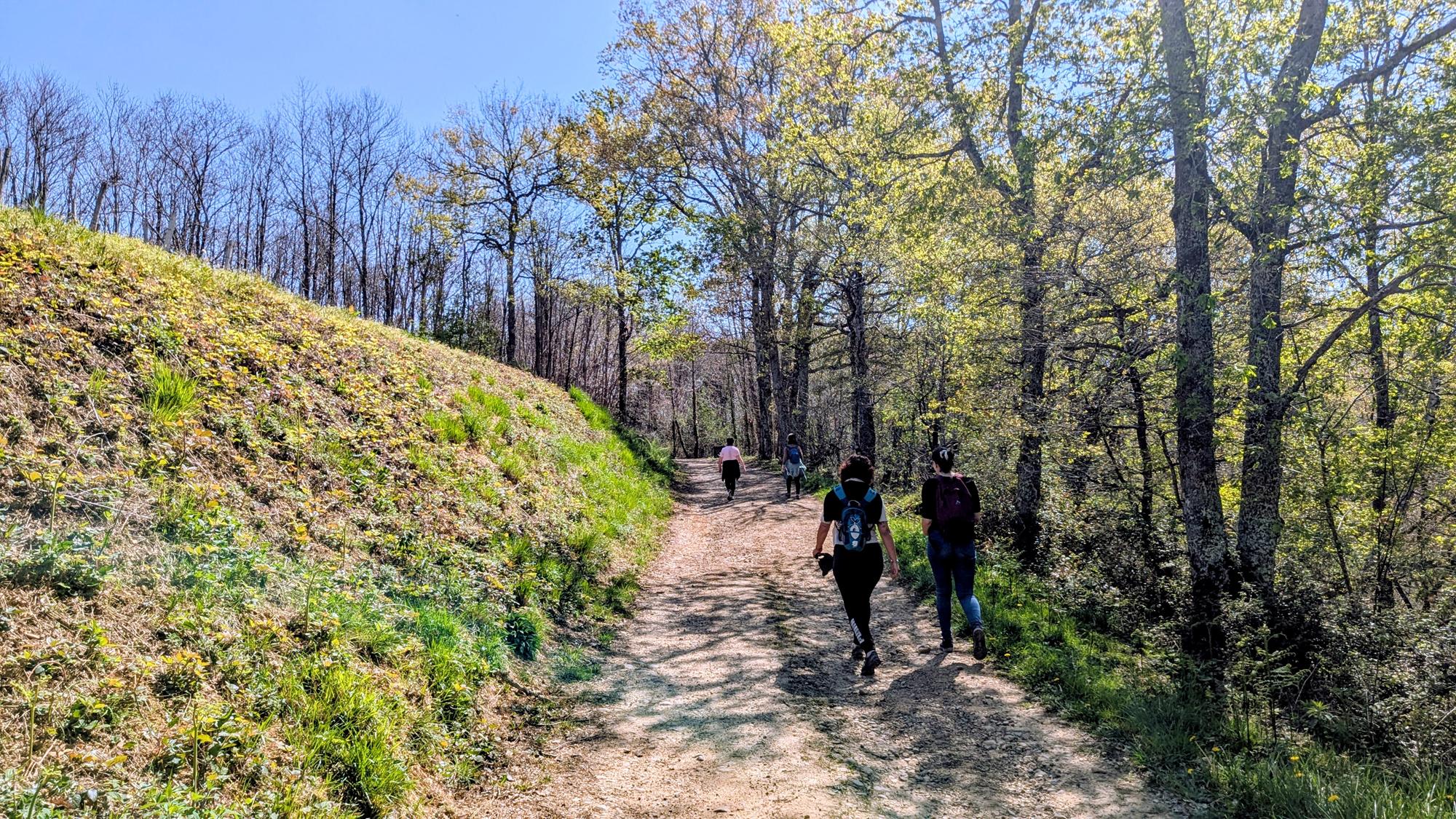 Vallon du Lalaas