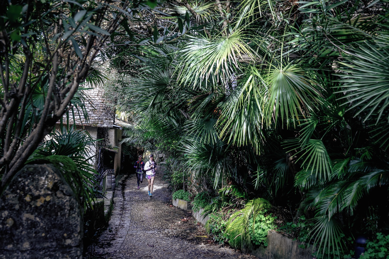 Trail de la Vallée