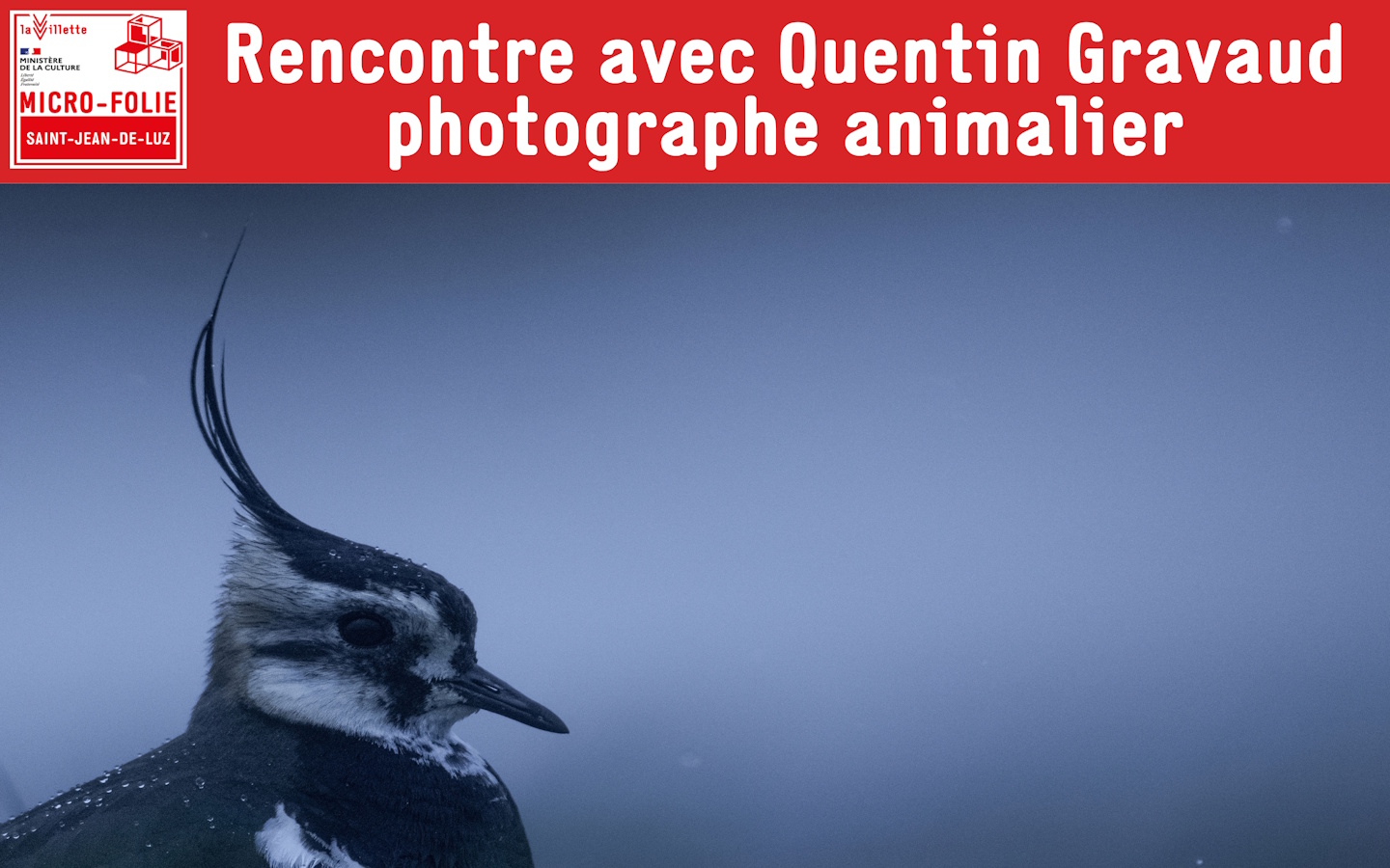Visuel évènement