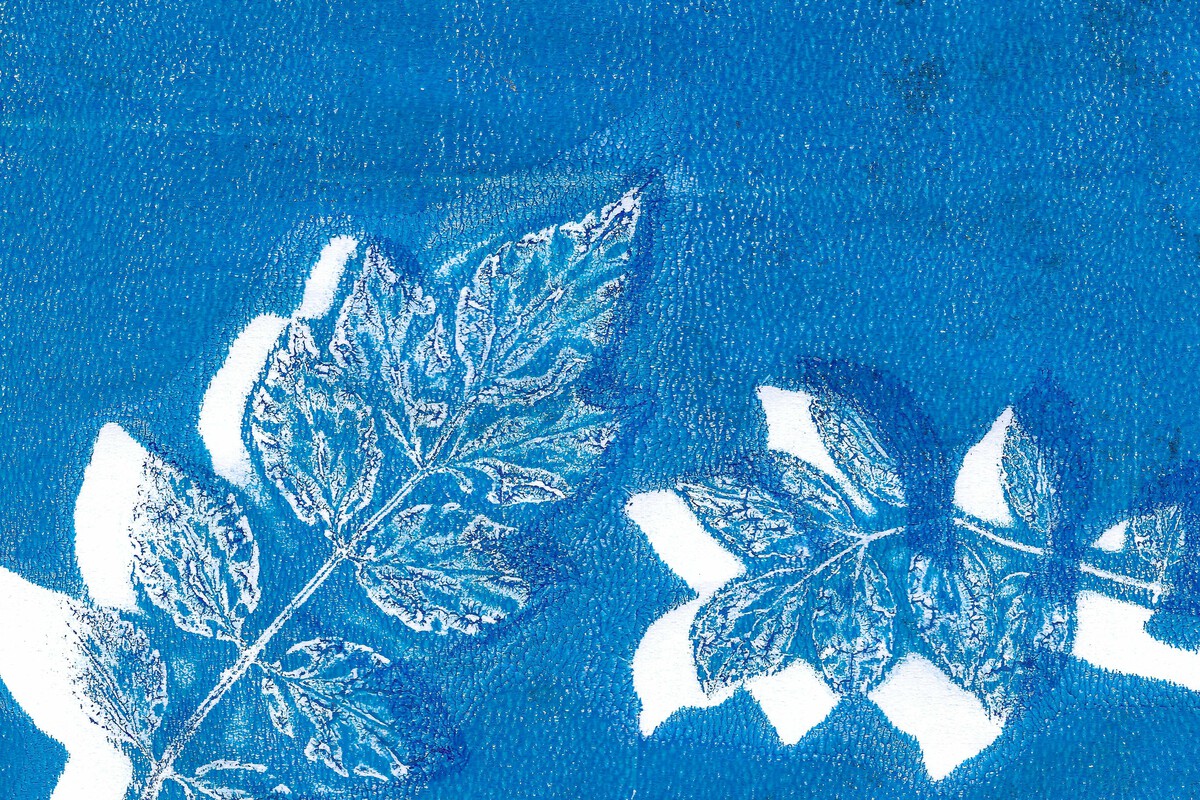 Atelier pour artistes en herbe | Cyanotype avec l'artiste Mélissa Boucher Morales