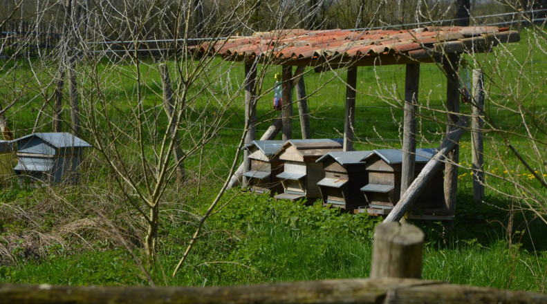 La Berlière - Gîte nature