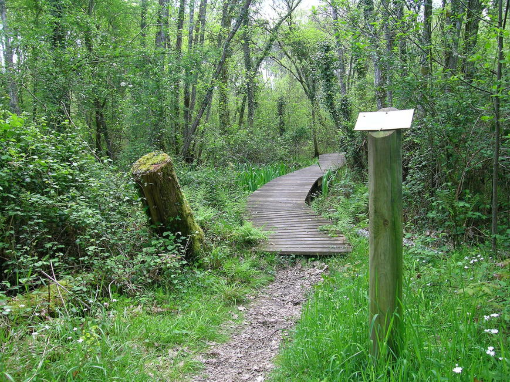 Sentier botanique