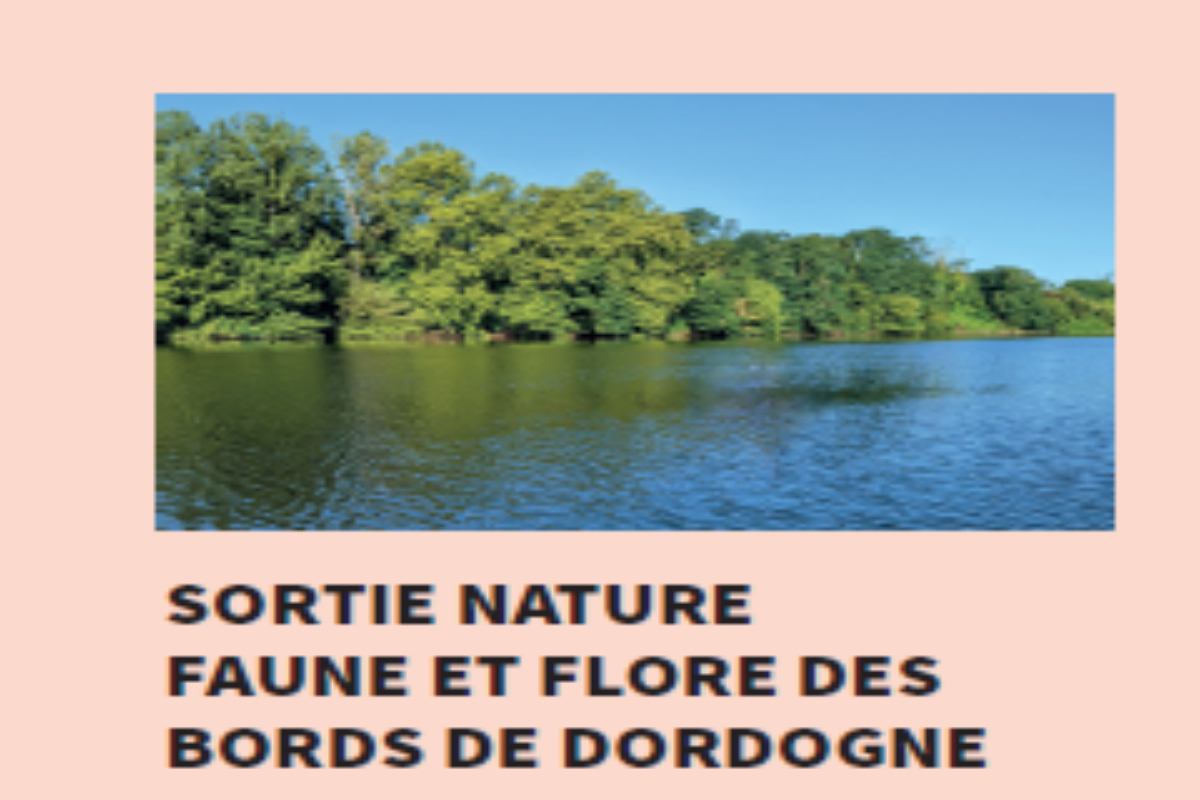 Sortie nature faune et flore des bords de Dordogne
