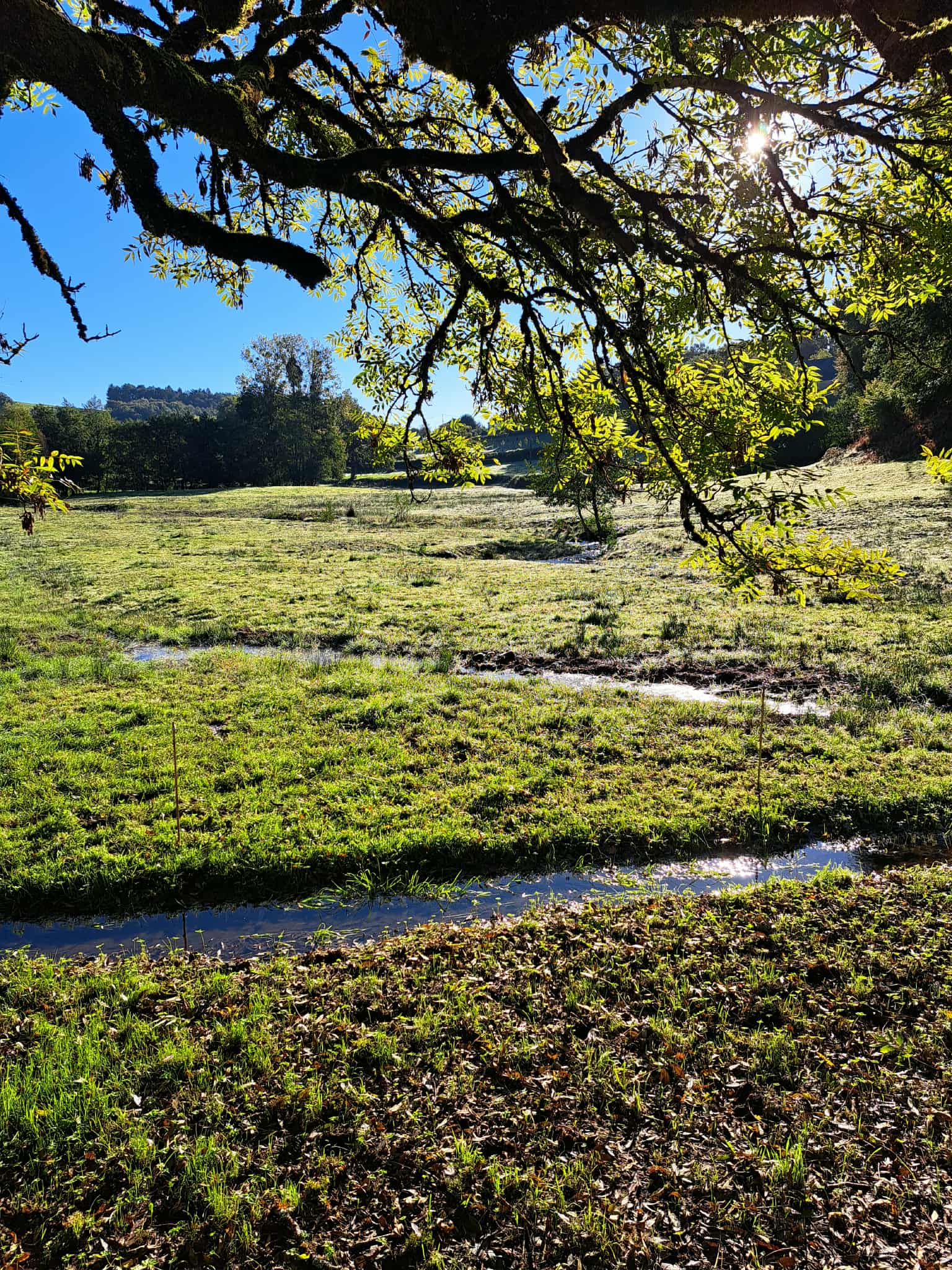 Sentier d'interprétation