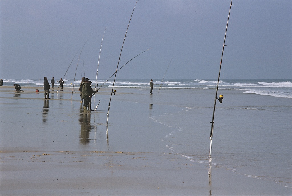 La Pêche en bord de mer