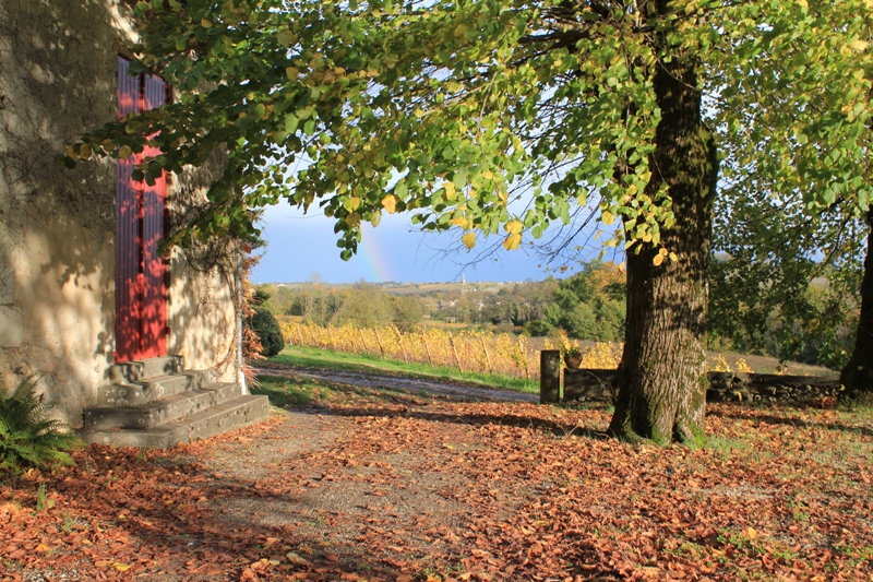 Château La Mouleyre
