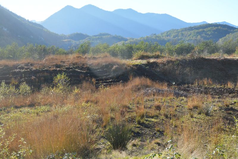 Sentier de la tourbière de Pédestarrès