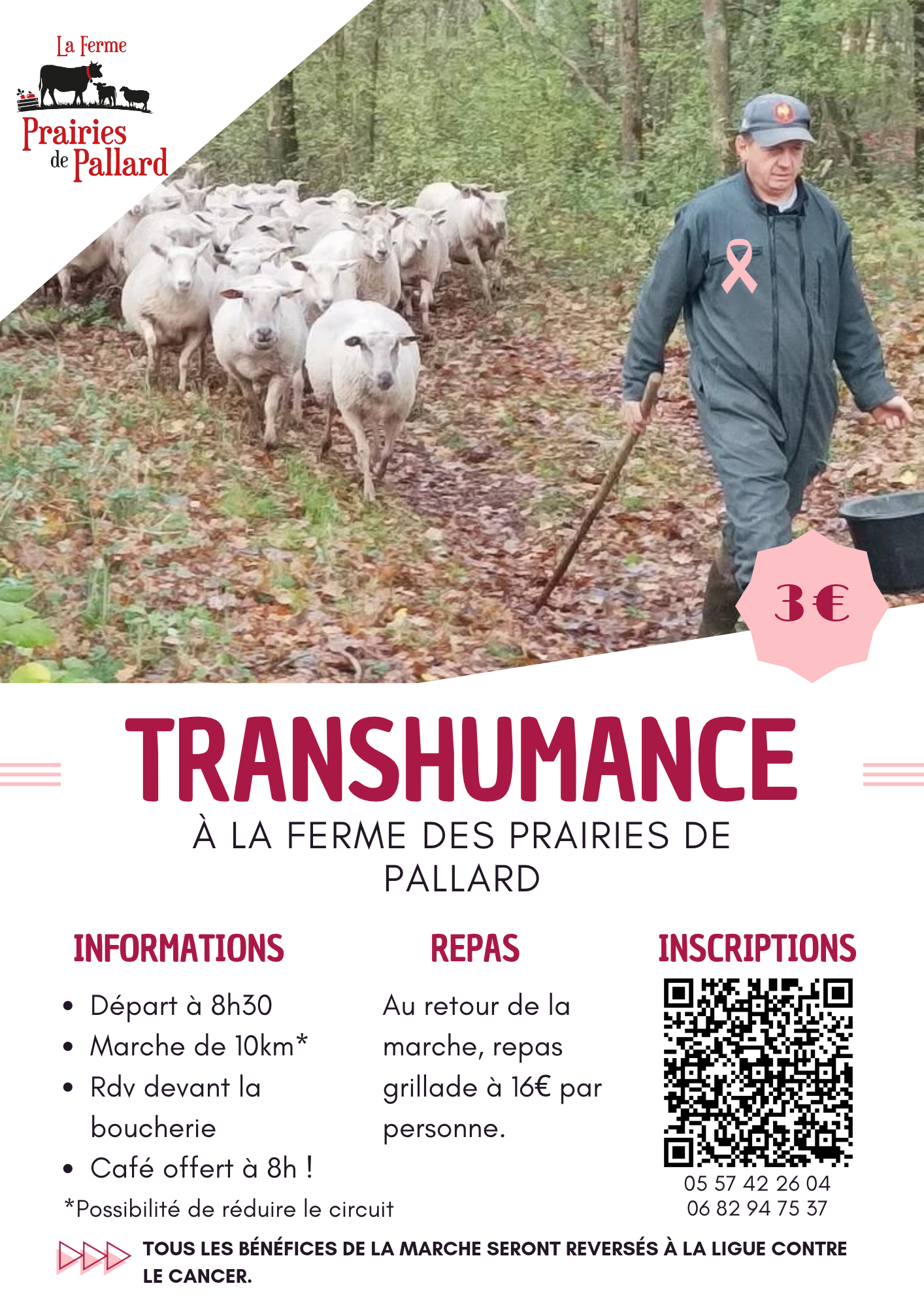 Balade transhumance et repas à la Ferme des Prairies de Pallard