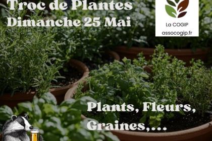 Troc de plantes 