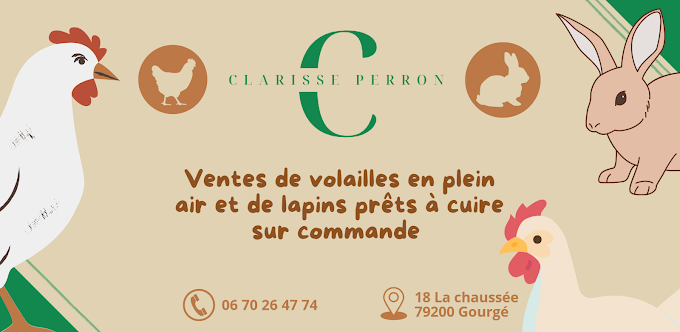 Clarisse Perron