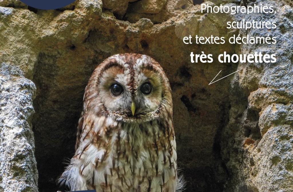 Vernissage d'exposition de Laurent Chauveton