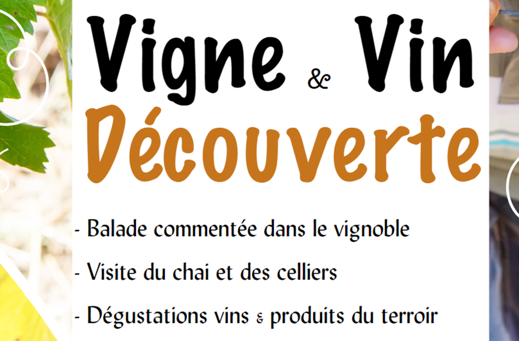 Visite guidée et dégustation gourmande | Domaine du Siorac