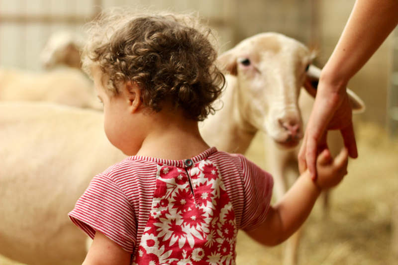 visite-ferme-pedagogique