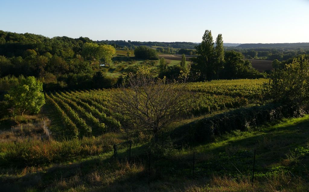 DOMAINE DE GRIMARDY | Découverte marche nordique et dégustation