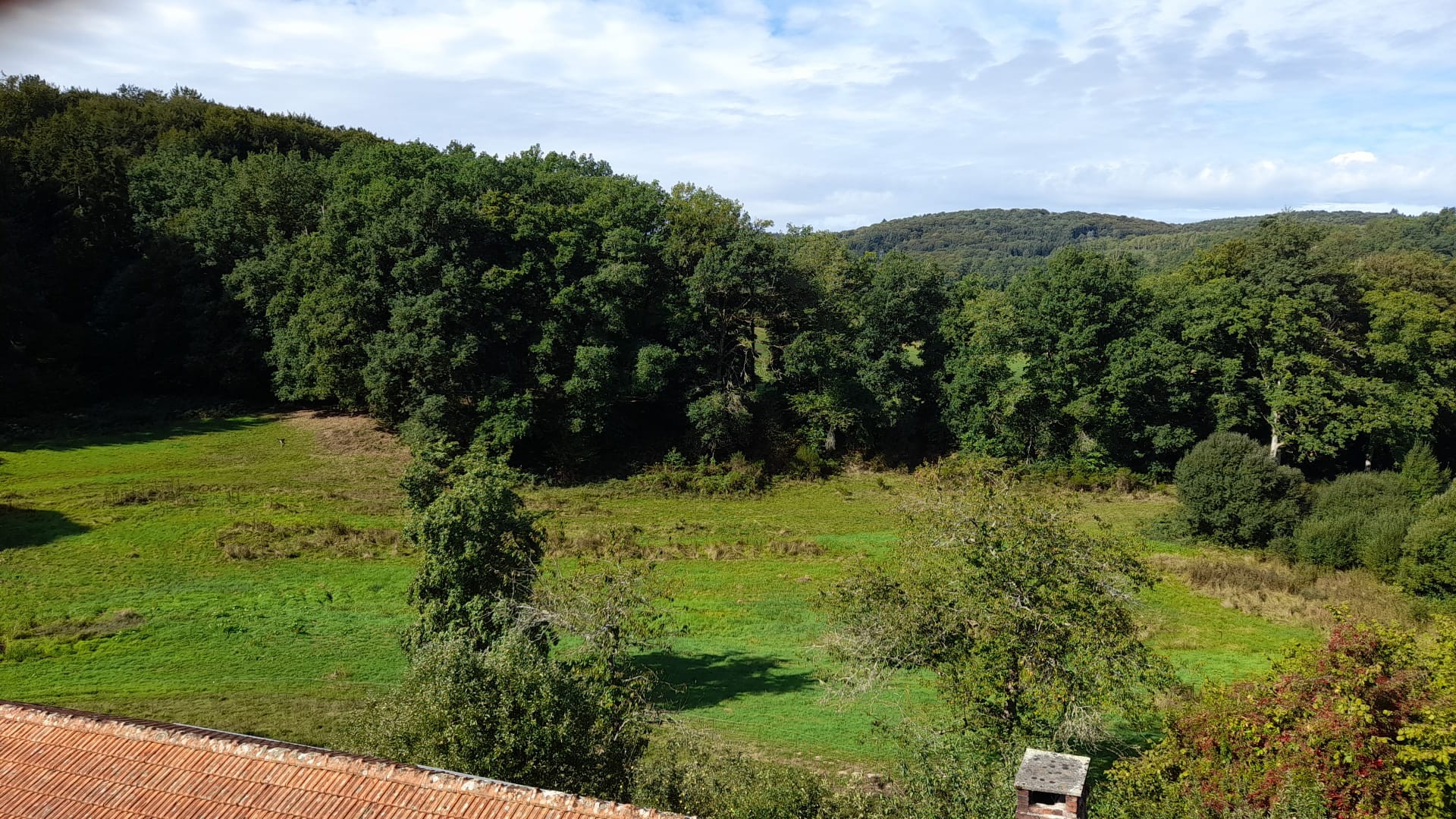 Le petit sabot