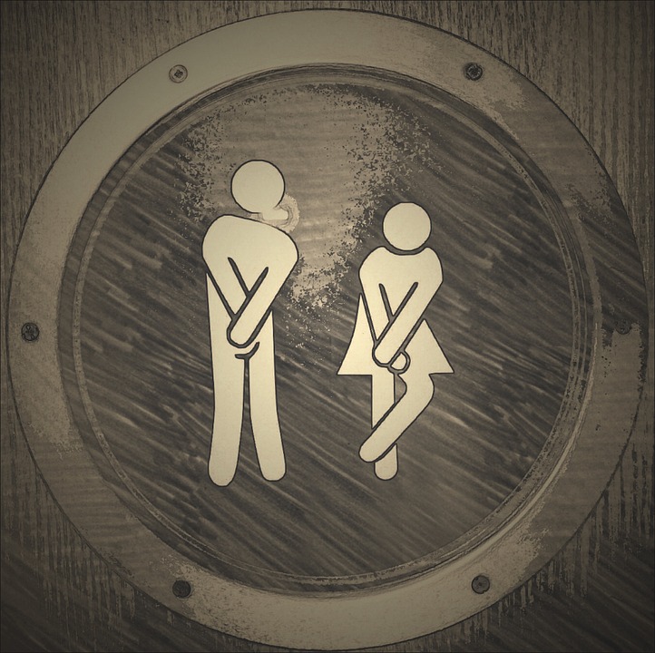 Issoudun-Létrieix : Toilettes publiques