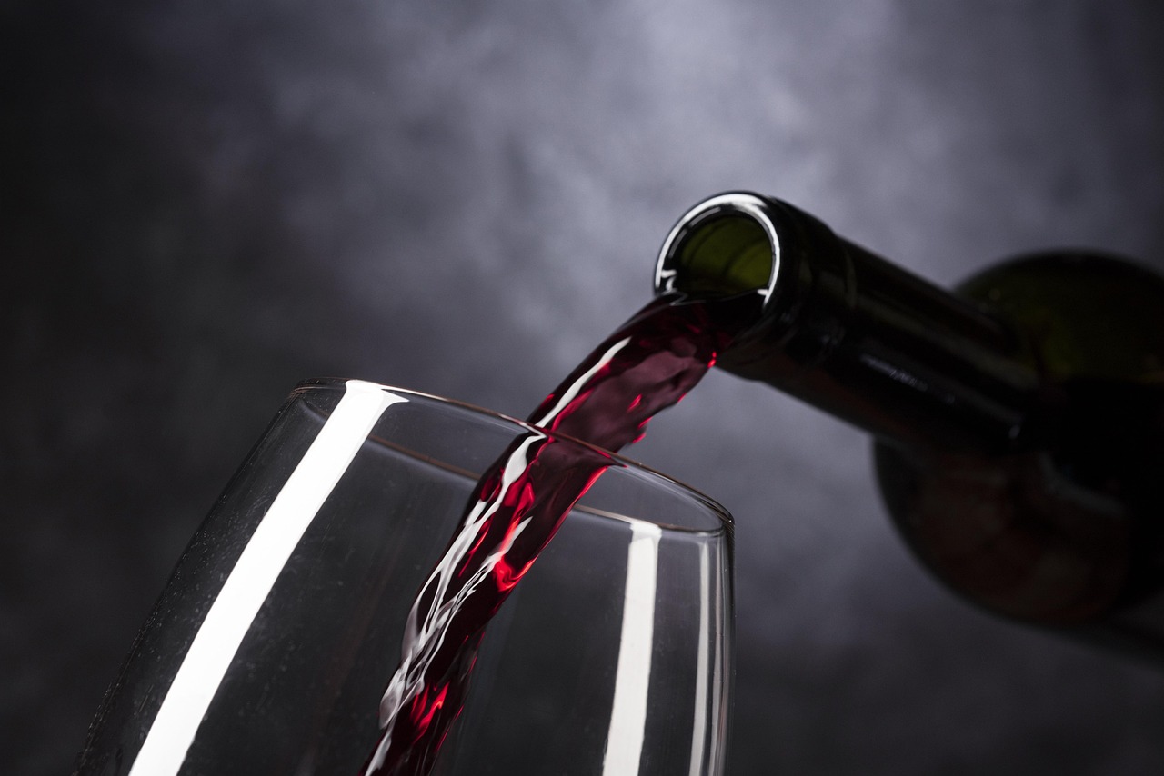Apéro au domaine Albert de Conti