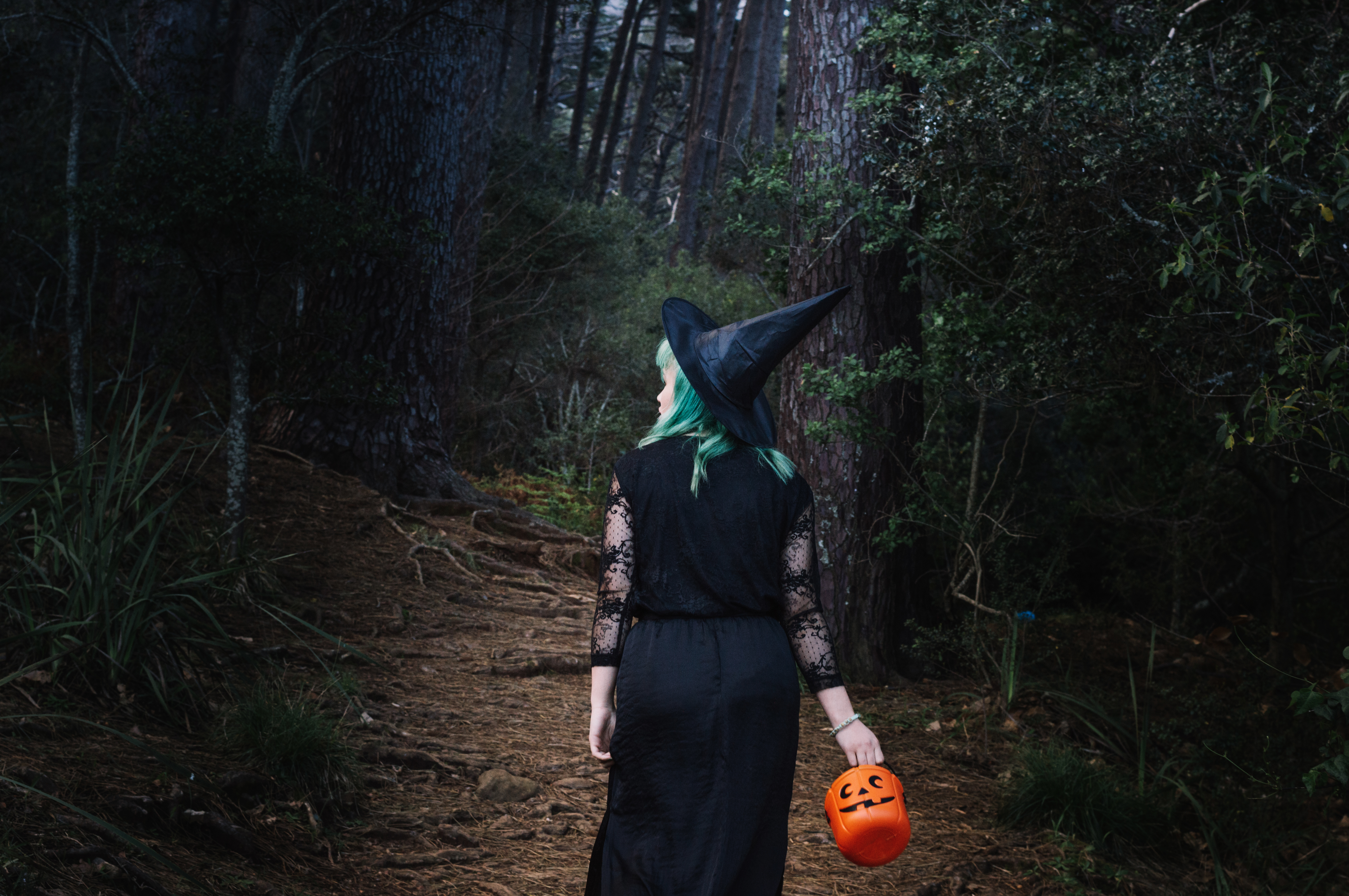 Halloween - La forêt désenchantée