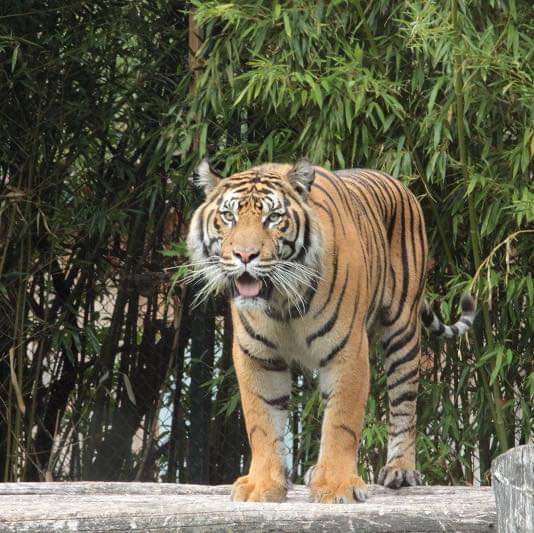 Zoo du Bassin d&rsquo;Arcachon
