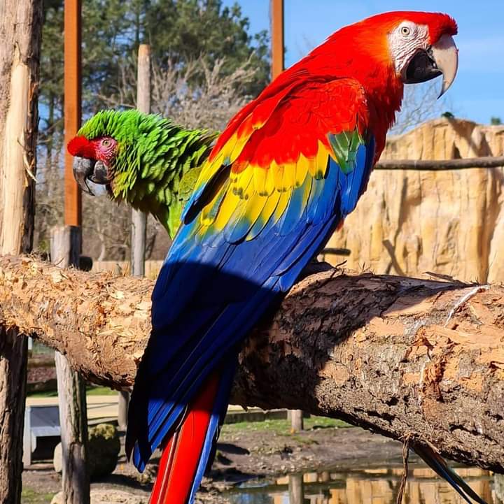 Zoo du Bassin d&rsquo;Arcachon